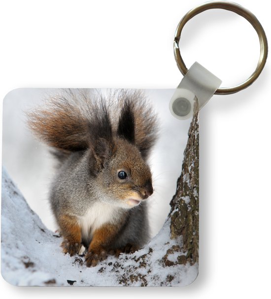 Porte-clés - Écureuil - Animal - Arbre - Hiver - Plastique - Rond - Cadeaux à distribuer