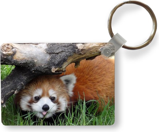 Porte-clés Panda rouge - Panda rouge dans le zoo Porte-clés plastique -  Porte-clés... | bol.com