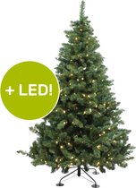 Royal Christmas - Kunstkerstboom - Dakota voor Buiten - Lengte 210 cm - met 350 Warm LED lampjes speciaal voor buiten - 795 Takken - Groen