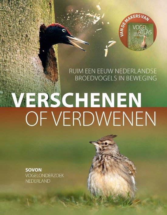 Verschenen of verdwenen - cover