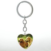 GoedeDoelen.Shop | Sleutelhanger heart Golden Retriever Duo | Tashanger | Golden Retriever | Honden Fan | Cadeautje