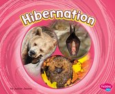 Cycles of Nature - Hibernation