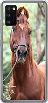 Telefoonhoesje Geschikt voor Samsung Galaxy A41 hoesje - Paard - Bos - Halster - Siliconen Telefoonhoesje