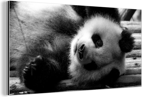 Wanddecoratie Metaal - Aluminium Schilderij Industrieel - Dierenprofiel rollende panda in zwart-wit - 40x20 cm - Dibond - Foto op aluminium - Industriële muurdecoratie - Voor de woonkamer/slaapkamer