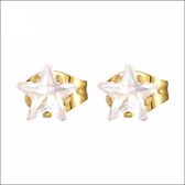 Aramat jewels ® - Zweerknopjes zirkonia oorbellen transparant chirurgisch staal 6mm