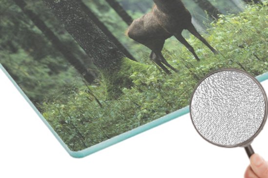 Planche à découper en Verres - 28x20 - Cerf - Forêt - Nature - Planches à découper en Glas