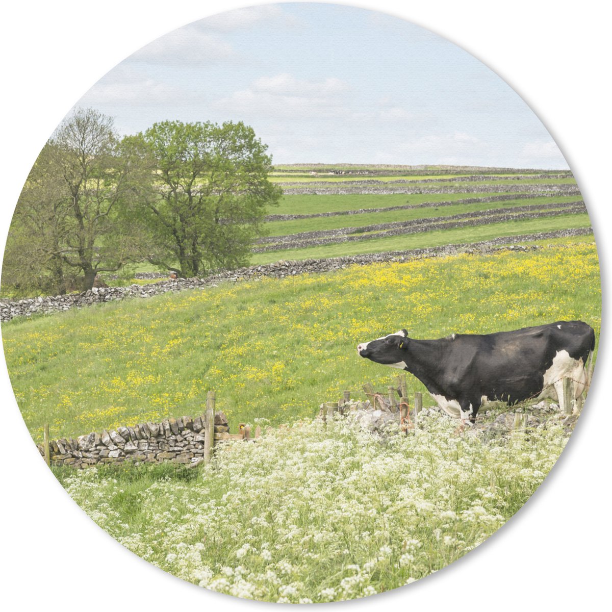 Muismat rond 50x50 cm - Mousepad Koe - Bloemen - Dieren - Ronde muismatten