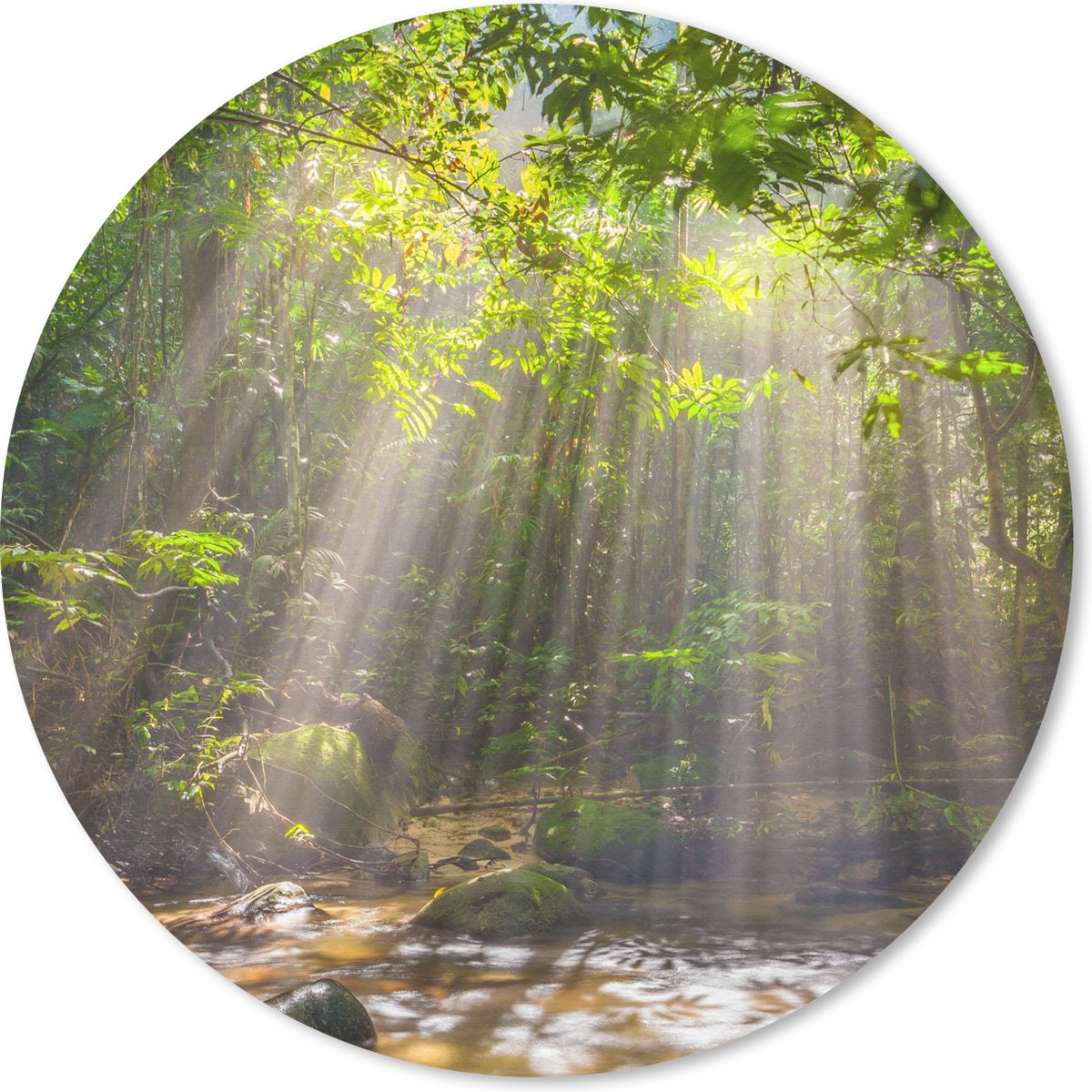 Muismat rond 30x30 cm - Mousepad Zonnestralen door bladerdek - Ronde muismatten