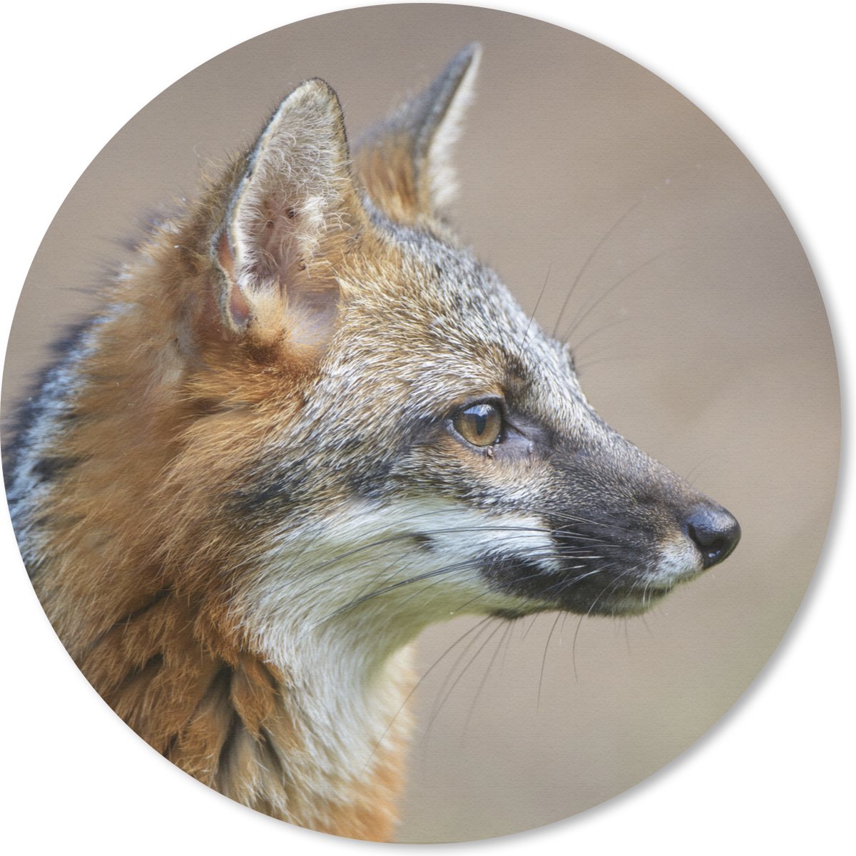 Muismat rond 40x40 cm - Mousepad Vos - Macro - Bruin - Ronde muismatten