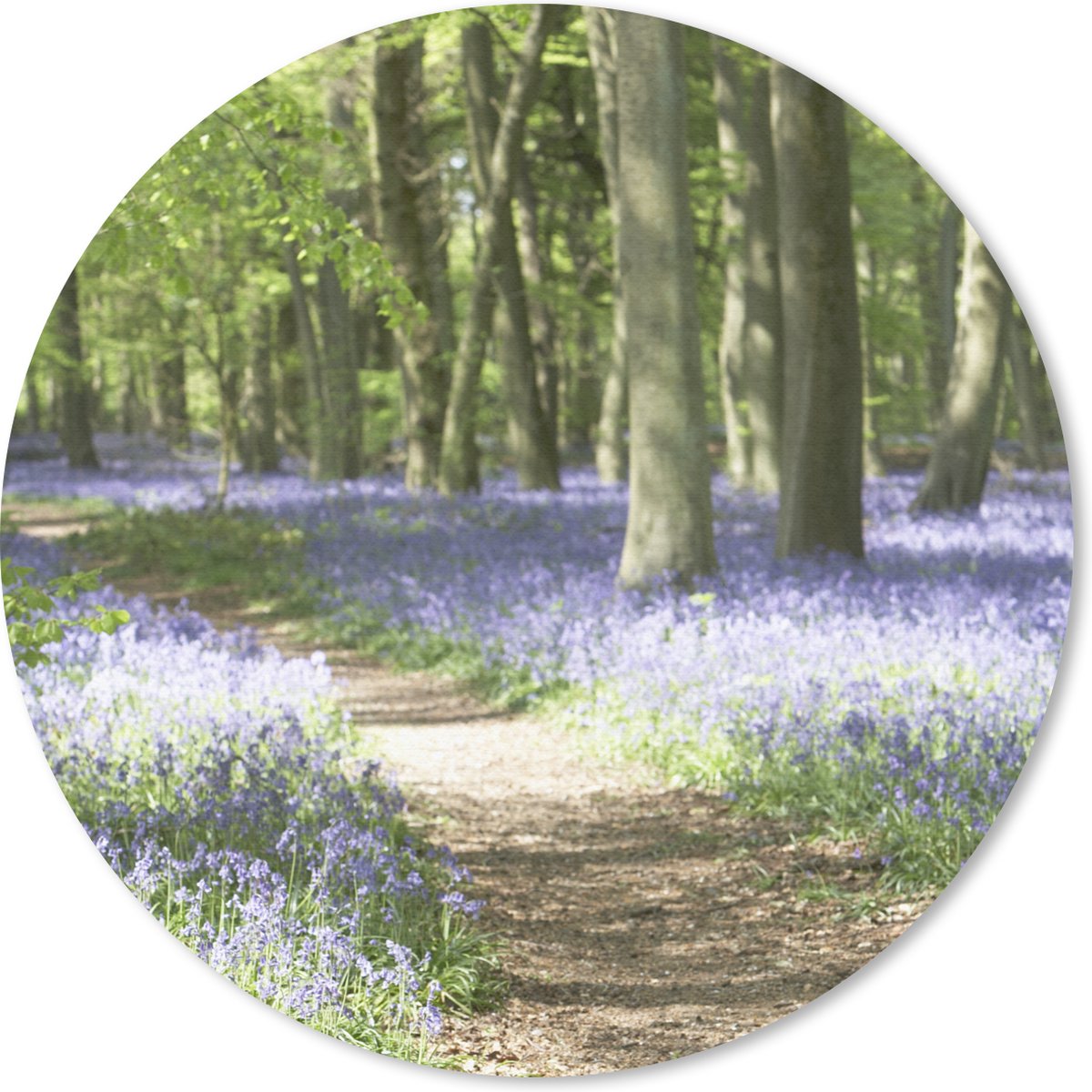 Muismat rond 30x30 cm - Mousepad Bos - Pad - Bloemen - Paars - Groen - Natuur - Ronde muismatten
