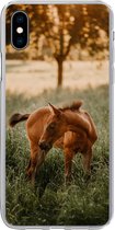 Geschikt voor iPhone Xs hoesje - Paard - Gras - Boom - Siliconen Telefoonhoesje