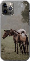 Geschikt voor iPhone 13 Pro hoesje - Paarden - Natuur - Mist - Siliconen Telefoonhoesje