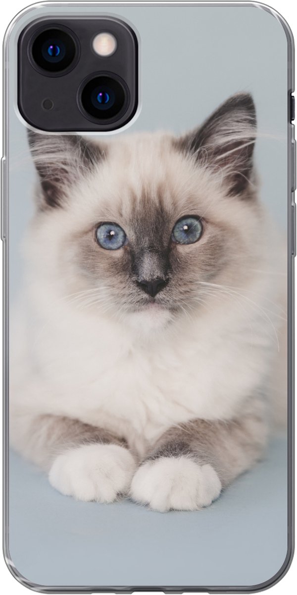 Telefoonhoesje Geschikt voor iPhone 13 hoesje - Kat - Ragdoll Kat - Blauw - Meisjes - Kinderen - Jongens - Kindje - Siliconen Telefoonhoesje Telefoonhoesje