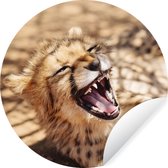 Papier peint Circle - Cheetah - Animal - Gros plan - 50x50 cm - Wall Circle