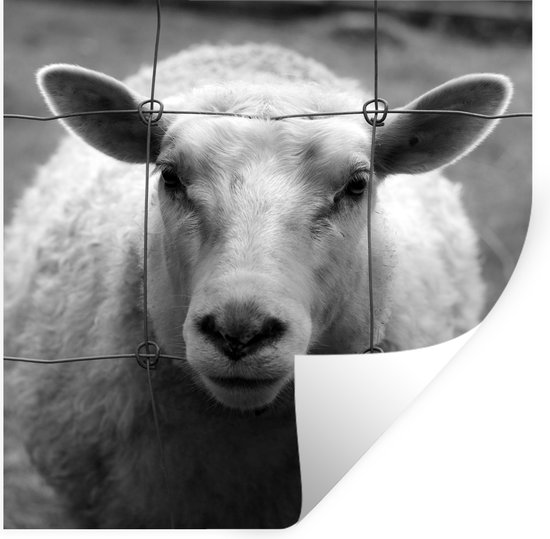 Stickers muraux - Mouton - Clôture - Zwart - Wit - 80x80 cm - Feuille adhésive
