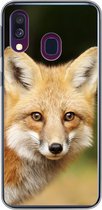 Coque Samsung Galaxy A40 - Renard - Puppy - Portrait - Siliconen
