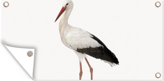 Poster de jardin Chambre bébé - Cigogne - Chambre de bébé cm