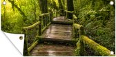 Tuinposter Mooi regenwoud en jungle - 60x30 cm - Tuindoek - Buitenposter