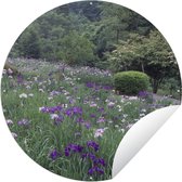 Garden Circle Fleurs d'Iris Japonais - Colline - Buissons - 150x150 cm - Affiche de Jardin Ronde - Extérieur