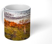 Mok - Baobab bomen tijdens zonsondergang in Oscar Range in Australië - 350 ML - Beker