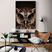 Artistic Lab Poster - Owl Plexiglas - 70 X 50 Cm - Multicolor