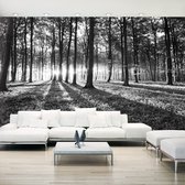 Zelfklevend fotobehang - Grijze Wildernis, Bos, 490x280cm, premium print