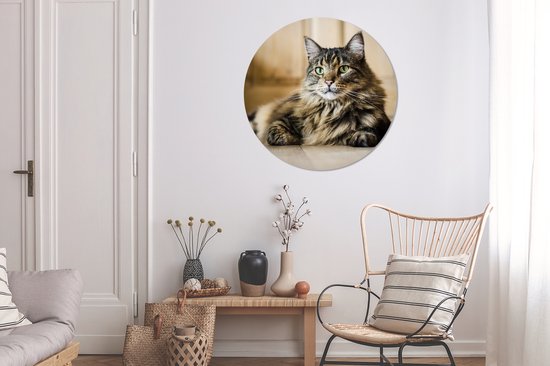 Assiette en plastique cercle mural chat Maine Coon rayé noir et marron ⌀ 90 cm - impression photo sur cercle mural / cercle vivant (décoration murale)
