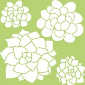 Hobbysjabloon - Kaisercraft • designer template 6x6" succulents