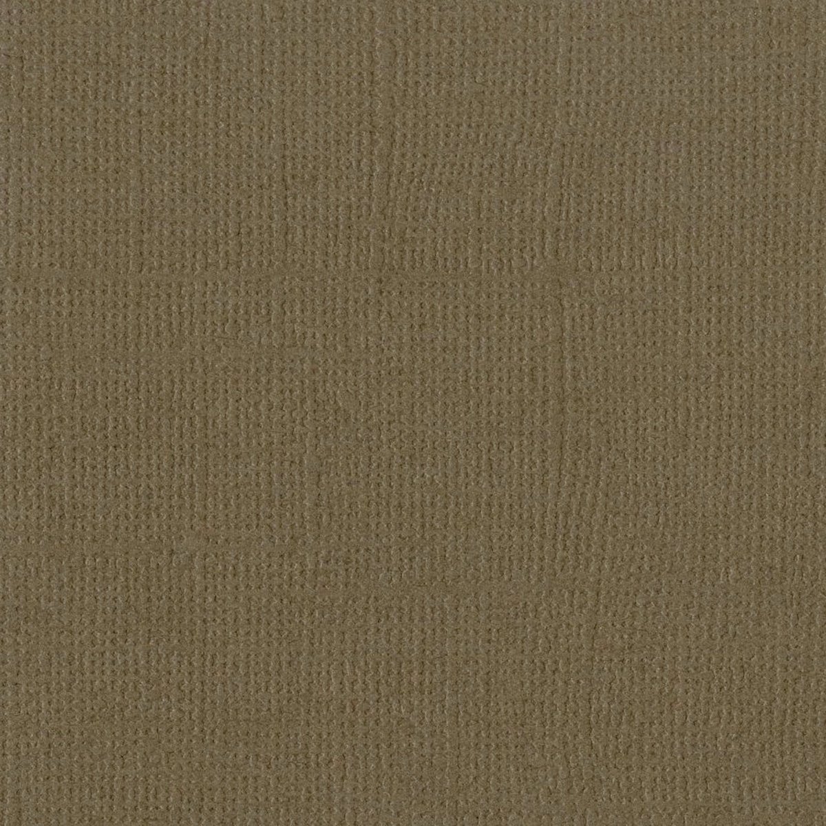 Afbeelding van product Bazzill Textuurpapier - Mono Canvas - 30.5x30.5cm - Bark - 25 vellen