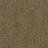 Bazzill Textuurpapier - Mono Canvas - 30.5x30.5cm - Bark - 25 vellen