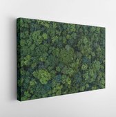 Luchtfoto bovenaanzicht bos boom, regenwoud ecosysteem en gezonde omgeving concept en achtergrond, textuur van groene boom bos weergave van bovenaf. - Moderne kunst canvas - Horizo