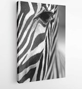 Monochromatisch beeld van het gezicht van een Grevy zebra close-up. Verticaal - Modern Art Canvas - Verticaal - 130033805 - 40-30 Vertical