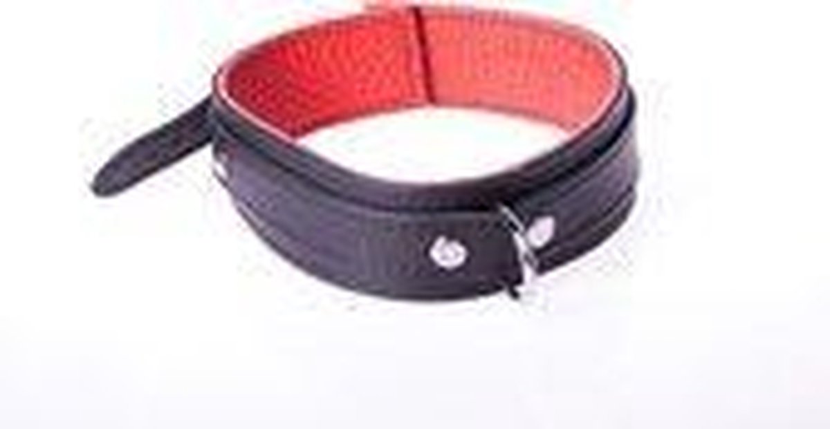 Goedkoopste Basic Collar van Leer met Metalen D-Ring en Gesp - Zwart/rood