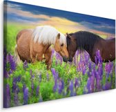 Schilderij - Paarden in de wei, multi-gekleurd, 4 maten, Premium print