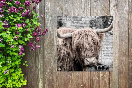 Tissu de jardin Highlander écossais - Journal - Rétro - 100x100 cm
