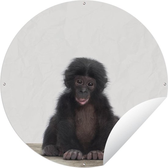 Tuincirkel Dieren - Chimpansee - Baby - 60x60 cm - Ronde Tuinposter - Buiten