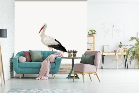 Papier peint - Papiers Papier peint photo Animaux - Cigogne - Wit - Largeur 350 cm x Hauteur 350 cm