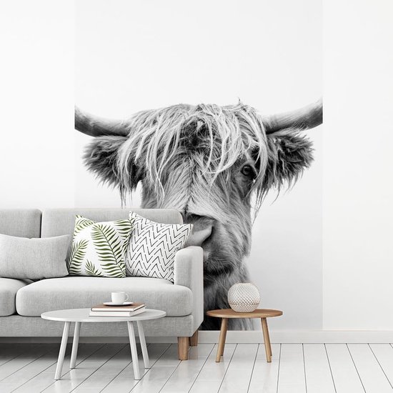 Papier peint - Papier peint photo Vache - Highlander écossais - Zwart - Wit - Largeur 190 cm x hauteur 260 cm