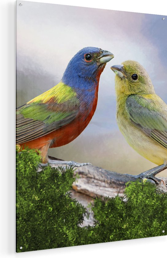 Artaza Glasschilderij - Getekende Gorzen Vogels - Kleur - Abstract - 60x80 - Plexiglas Schilderij - Foto op Glas
