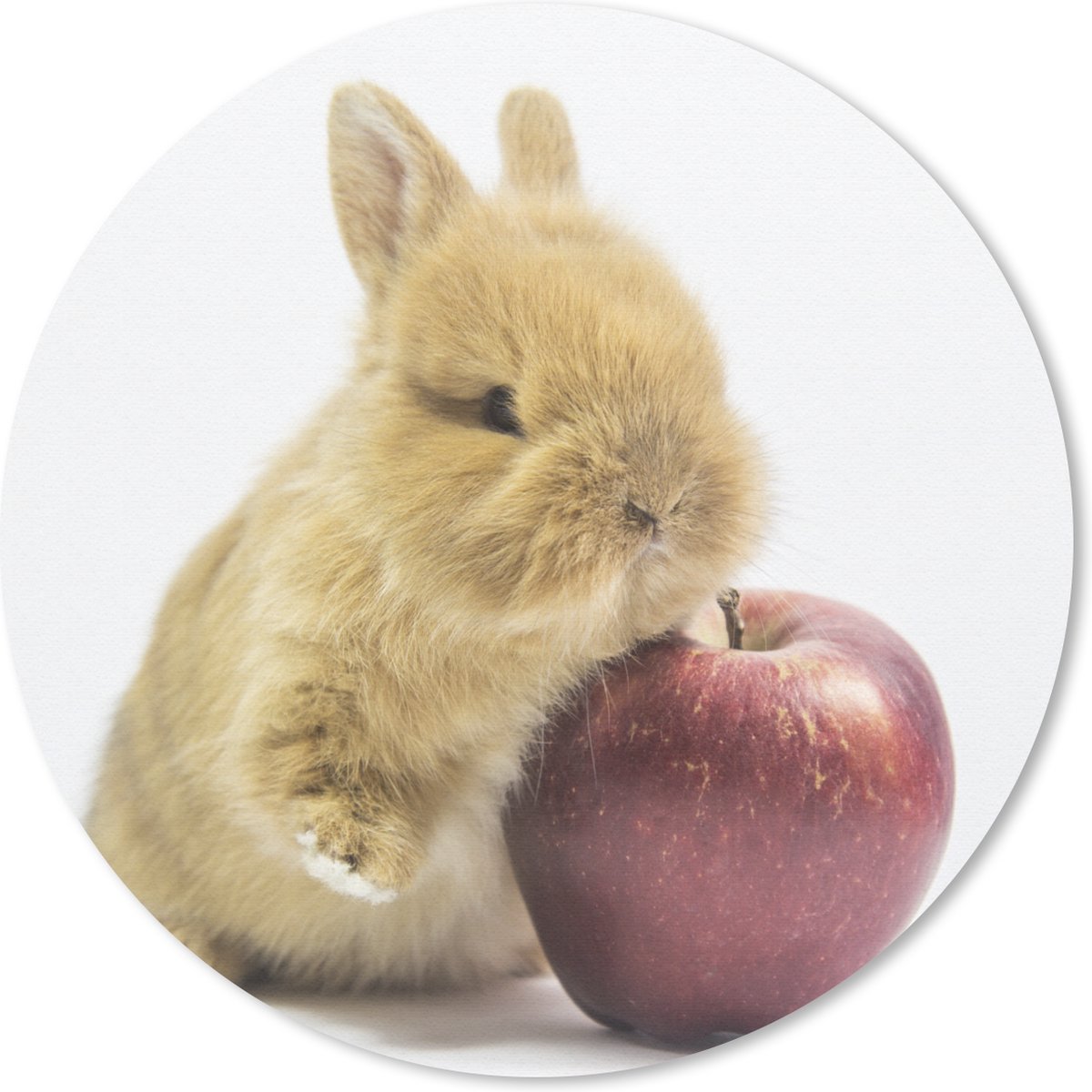 Muismat rond 40x40 cm - Mousepad Konijn - Baby - Appel - Ronde muismatten