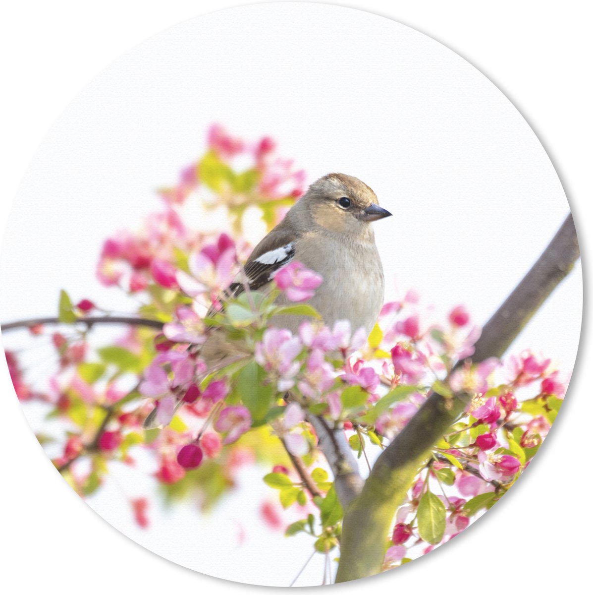 Muismat - Mousepad - Rond - Vogel tussen roze bloemen - 20x20 cm - Ronde muismat