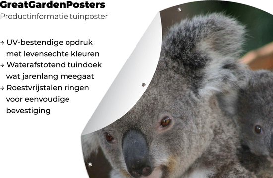 Garden Circle Koalas - Père - Enfant - Enfants - Garçons - Filles - 150x150 cm - Affiche Ronde de Jardin - Extérieur