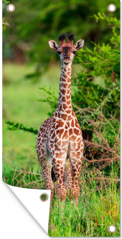 Tuinposter Baby - Giraffe - Planten - 30x60 cm - Tuindoek - Buitenposter