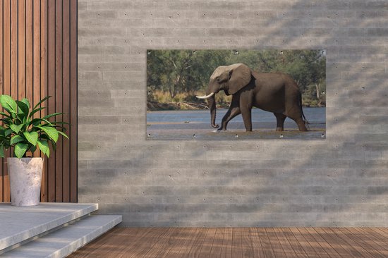 Décoration murale d'extérieur Un éléphant traverse le fleuve Zambèze dans le parc national du Bas Zambèze - 160x80 cm - Toile jardin - Affiche extérieure