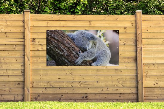 Décoration murale murale extérieure Koala - Arbre - Endormi - Enfants - Garçons - Meiden - 160x80 cm - Toile jardin - Poster extérieur
