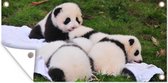 Wanddecoratie buiten Panda's - Gras - Deken - 160x80 cm - Tuindoek - Buitenposter