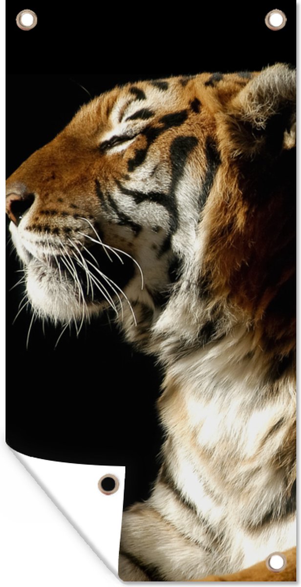 IMAGINE Toile imprimée murale Tigre cote 45 x 65 cm - Maison