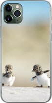 Geschikt voor iPhone 11 Pro Max hoesje - Jongen - Zand - Vogels - Siliconen Telefoonhoesje