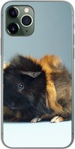 Geschikt voor iPhone 11 Pro hoesje - Twee kleine cavia's - Siliconen Telefoonhoesje