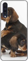 Geschikt voor Samsung Galaxy A50 hoesje - Studio foto van twee lieve Teckels - Siliconen Telefoonhoesje